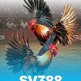Cock Flight by SV388